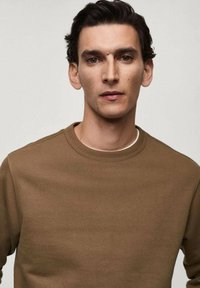 Felpa marrone con scollatura rotonda e polsini a coste; superficie liscia; design minimalista senza motivi o decorazioni visibili.