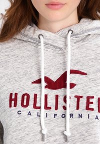 Šedá strukturovaná mikina s kapucí, na přední straně s logem v podobě červeného siluety ptáka a s nápisem "HOLLISTER" tučně vyvedeným v vínově červené barvě. Bílé šňůrky.