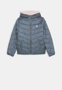 Abercrombie & Fitch Vinterjacka - dark blue