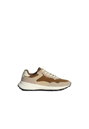 CITY MKII - Zapatillas - beige