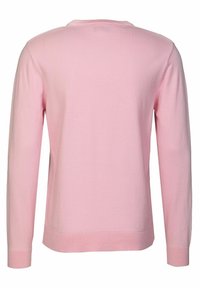 Light pink sweater with long sleeves, made from soft fabric. Features a round neckline and ribbed cuffs at the sleeves and waistband.