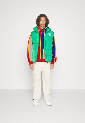 SMALL SIGNATURE STRIPE HOODIE - Mikina s kapucí - multicolor