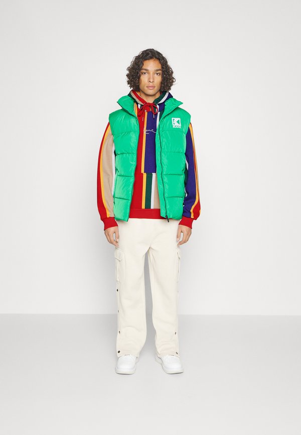 SMALL SIGNATURE STRIPE HOODIE - Hoodie - multicolor