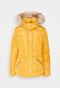 Giubbotto imbottito giallo con cappuccio foderato in pelliccia sintetica, tasche laterali con zip e design a pannelli cuciti per isolamento e calore.