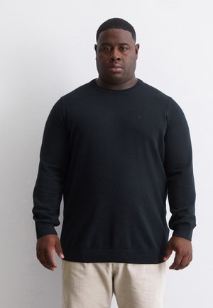 Black knit sweater with long sleeves and ribbed crew neckline, featuring a subtle logo. Paired with light-colored trousers.