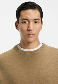 Maglione beige lavorato a maglia con collo girocollo a costine, indossato sopra una maglietta bianca. Tessuto liscio e design minimale. Chiarezza e attenzione sull'abbigliamento.