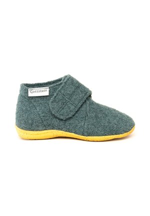 ALPINE RACER - Hjemmesko - blue/green mele