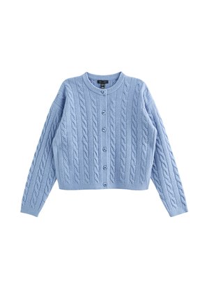 Cardigan azzurro chiaro a maglia con motivo a trecce, scollo tondo e sei bottoni sul davanti, con maniche lunghe e lunghezza corta.