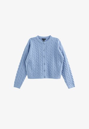 Cardigan azzurro chiaro a maglia con motivo a trecce, scollo tondo e sei bottoni sul davanti, con maniche lunghe e lunghezza corta.