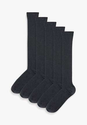 5 PACK - Kniestrümpfe - grey ribbed