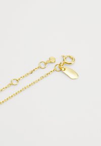 Colar de corrente de ouro com elos ovais, apresentando um fecho tipo lagosta, um encanto redondo gravado e uma etiqueta pendurada plana para fixação.