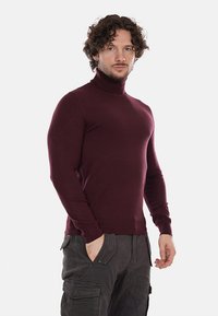 Maglione a collo alto color bordeaux in un tessuto morbido e elasticizzato, design aderente, maniche lunghe, con polsini e orlo a coste.
