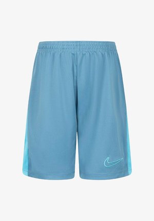 Pantalones cortos deportivos de color azul claro con un panel lateral de malla en un azul más oscuro. Cintura elástica y logotipo bordado en turquesa en la parte frontal.