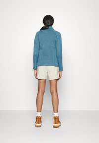 Patagonia BETTER SWEATER - Camisola com fecho - abalone blue