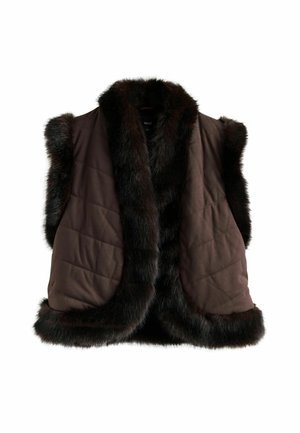 Gilet marrone imbottito con ampio bordo in pelliccia scura attorno al colletto, alle aperture per le braccia e all'orlo, design senza maniche su sfondo bianco.
