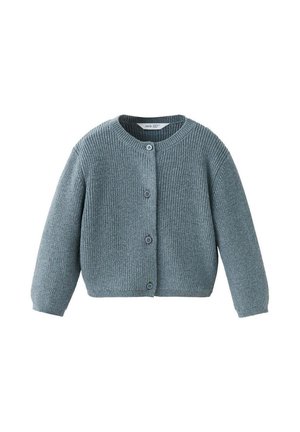 Cardigan bleu en tricot à manches longues avec quatre boutons à l'avant et un col rond, présenté sur fond blanc.
