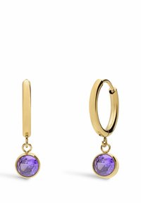 Oorbellen - gold-coloured/purple