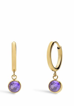 Oorbellen - gold-coloured/purple