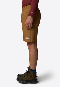 The North Face LIMESTONE - Shorts - utility brown