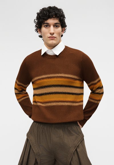 Jeune homme aux cheveux bouclés portant un pull marron avec des rayures orange, beige et noir sur une chemise blanche à col, associé à un pantalon marron à carreaux.