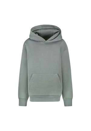Lichtgroene hoodie gemaakt van zacht materiaal. Voorzien van een voorzak, ribgebreide boorden en zoom. Inclusief een ruime capuchon. Eenvoudig ontwerp.