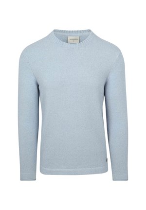 Lichtblauwe trui van zacht materiaal, met een ronde hals, lange mouwen en een effen textuur. Geen zichtbare patronen of accenten.
