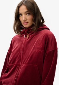 Haut à zip en velours rouge avec un logo sur le devant, capuche ajustable avec cordon de serrage et grandes poches avant. Texture lisse et coupe décontractée.