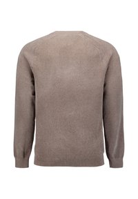 Lichtbruine trui met lange mouwen, ronde hals en geribbelde manchetten. Zachte textuur en naadloze schouders. Klassiek ontwerp met een minimalistische uitstraling.