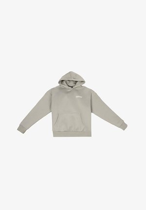 Svetle šedá mikina s kapucí, má přední kapsu a žebrované manžety. Na oblasti hrudi se nachází logo "DROPSIZE" v bílé barvě. Měkká textura.