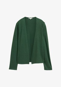 Unausgewählt, explorer green