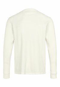 U.S. Polo Assn. REX - Hosszú ujjú felső - cloud dancer