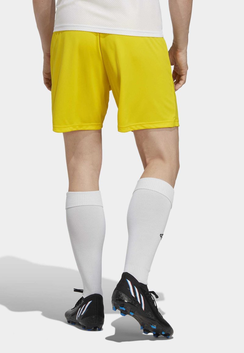 adidas Performance ENTRADA - Korte broeken - yellow