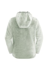 Jack Wolfskin NEPALI  - Giacca in pile - mint leaf