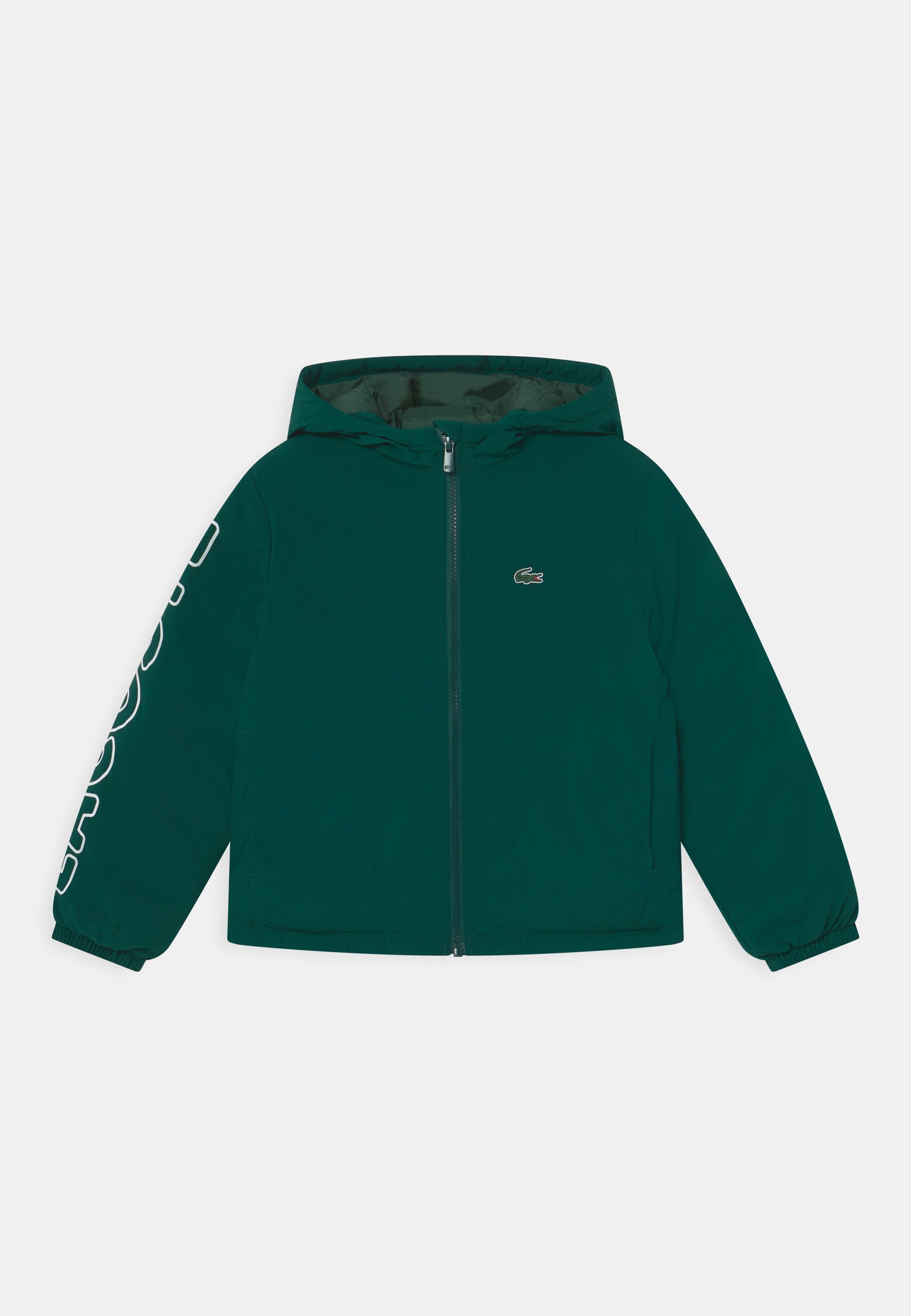 Lacoste Winter jacket - swing/green 
