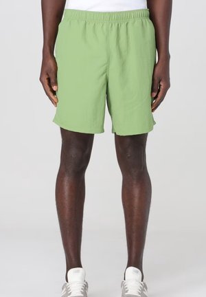 Pantaloni corti verde chiaro realizzati in tessuto morbido, con cintura elastica, taglio sopra il ginocchio e vestibilità comoda. Nessun motivo o accessorio visibile.