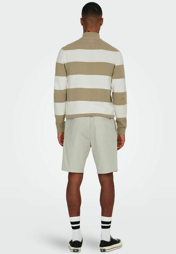 ONSLINUS SHORTS - Shorts - silver lining4