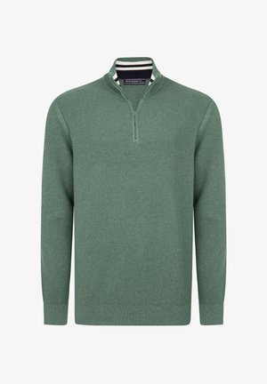 Green knitted sweater with a zip-up collar, featuring a ribbed texture and contrasting striped accent at the neck. Simple design, long sleeves.