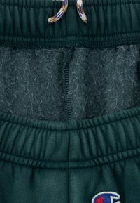 Groene fleece-gevoerde tailleband met samengevoegde elastiek, voorzien van een geweven trekkoord in blauw, bruin en crèmekleurig. Inclusief een logo-embleem.