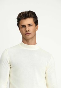 Helle Creme langärmliger Pullover mit einem engen Kragen, gefertigt aus einem glatten, fein gestrickten Material, mit einem einfachen, minimalistischen Design.