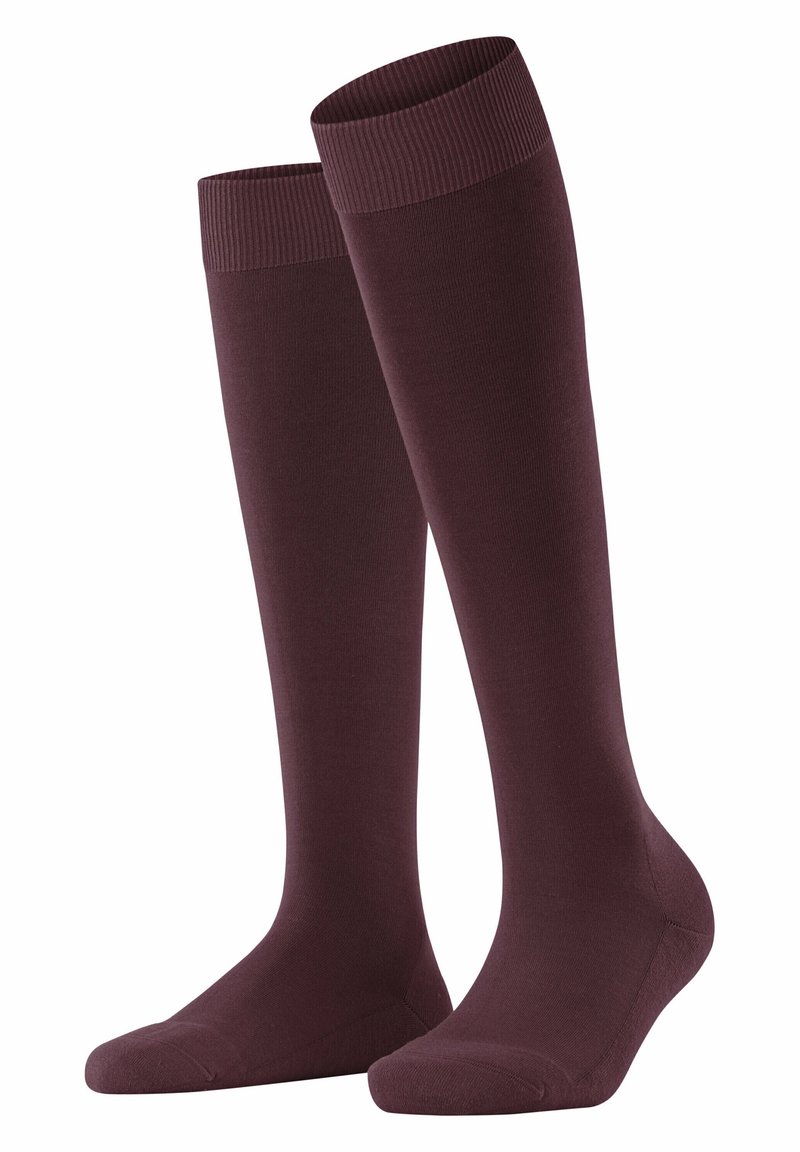 FALKE CLIMA - Kniestrümpfe - barolo
