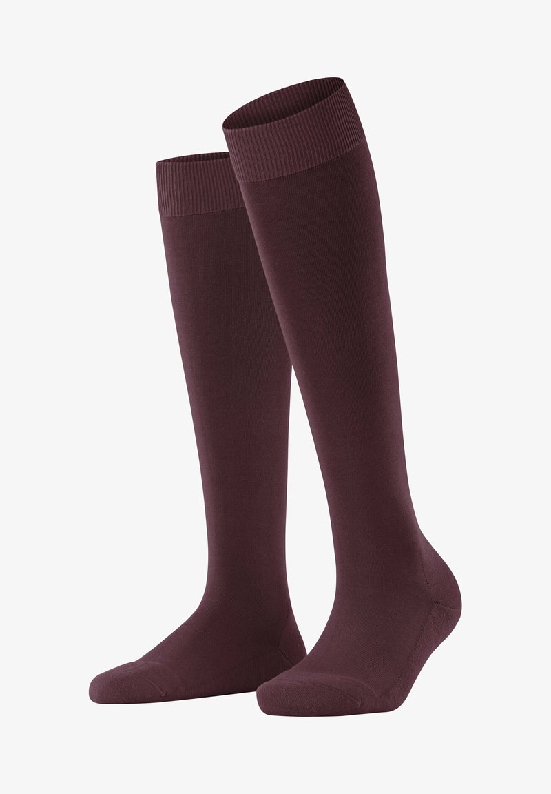 FALKE CLIMA - Kniestrümpfe - barolo