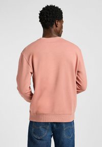 Lichtroze sweatshirt met lange mouwen, ribgebreide manchetten en zoom. Glad katoenen textuur. Gegdraagd met blauwe denim jeans, met een relaxte pasvorm.