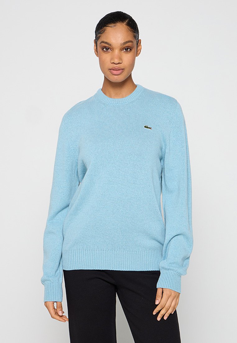 Pull en maille bleu clair avec des manches longues, des poignets et un ourlet côtelés. Il dispose d'un petit logo vert sur la poitrine, fabriqué en fil doux.