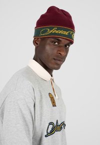 Gebreide kastanjebruine beanie met groene en gele gestreepte band met geborduurde tekst. Grijze polo met beige kraag en geborduurde details.