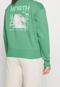 Zelená mikina se symbolem "The North Face" a grafickým zobrazením hor na zadní straně. Hladké manžety a lem, vyrobená z měkkého bavlněného materiálu.