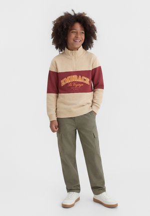 Name it NKMROY REG HALF ZIP - Φούτερ - island fossil