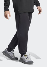 Adidas Terrex NATIONAL GEOGRAPHIC AERO.READY_WARMING PANTS - Āra bikses - black