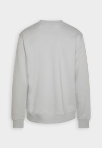 Ljusgrå sweatshirt med rund hals, långa ärmar, ribbade manschetter och en slät yta. Har en enkel baksida utan grafik.
