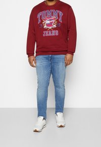 Tommy Jeans Plus Bluza