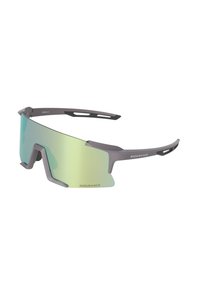 Occhiali da sole sportivi con montatura grigia, una lente riflettente verde singola e aperture di ventilazione sulle stanghette sottili, marchiati "Endurance".